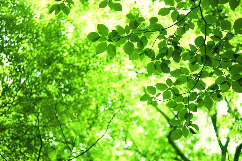 光触媒コーティングの「メリット」と「デメリット」